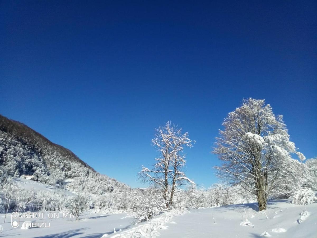 Nasa Kuca-Verusa Buitenkant foto